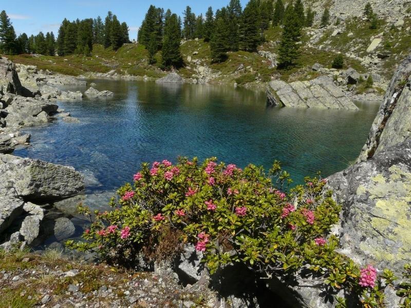 Pension Schoepf Арцль  Экстерьер фото